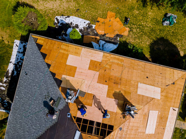 Best New Roof Installation  in Leoti, KS