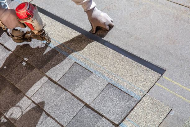 Best Roof Maintenance Services  in Leoti, KS